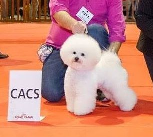 Publication : des portes de Hanau Auteur : Erb