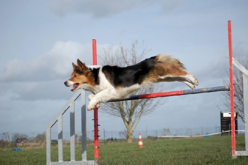 Publication : Every Kingdom Auteur : g.d