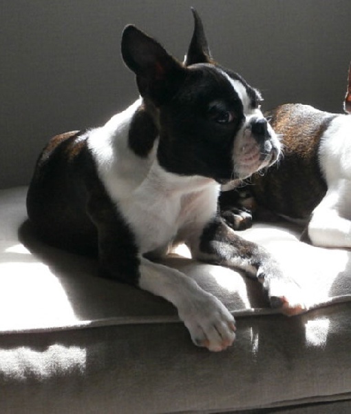 Publication : Du jura des eaux vives Auteur : MLD