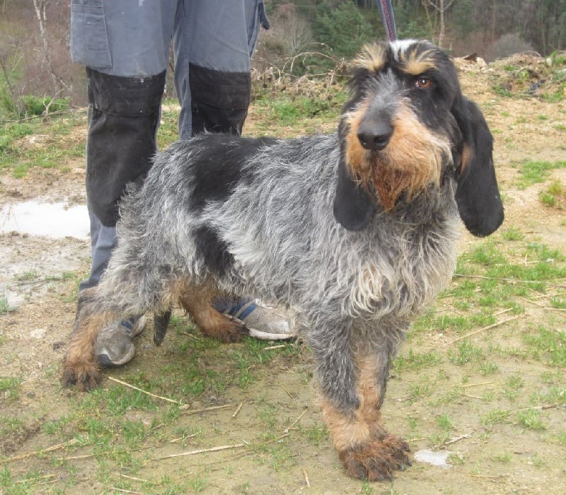 Publication : de la vallée de l'Arcomie