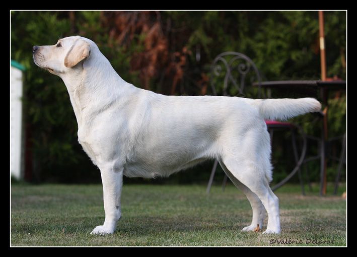 Publication : des Simandrés Auteur : Valérie Delprat