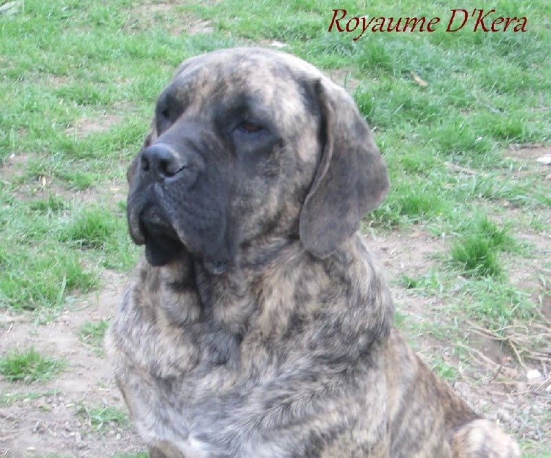 Geasy du temple des Vestales