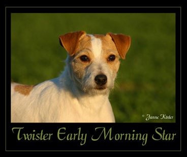 twister Early morning star