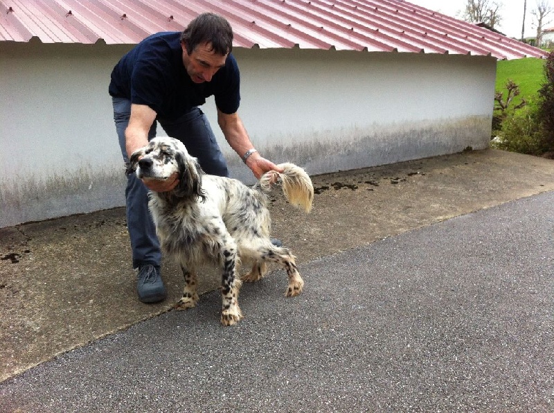 Publication : Iparraldekoa Auteur : iparraldekoa