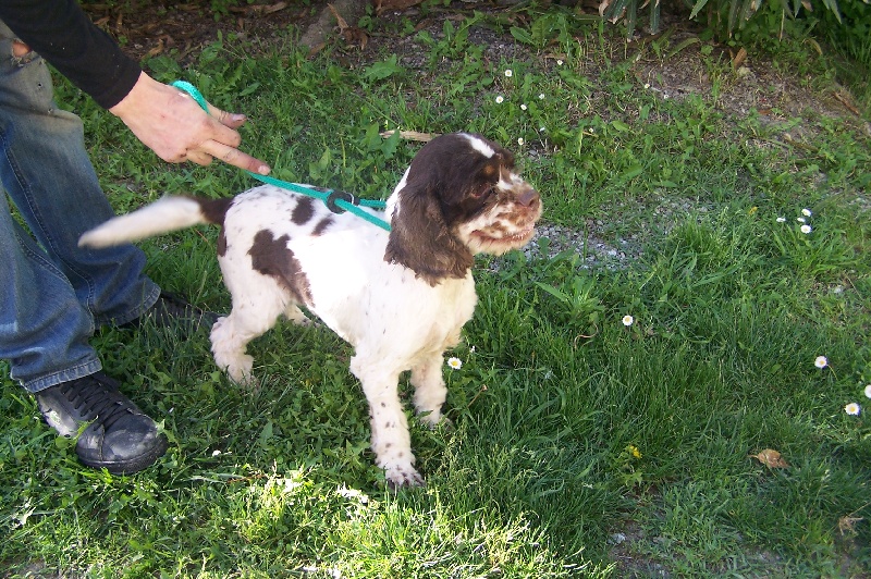 Publication : du mont d'amour