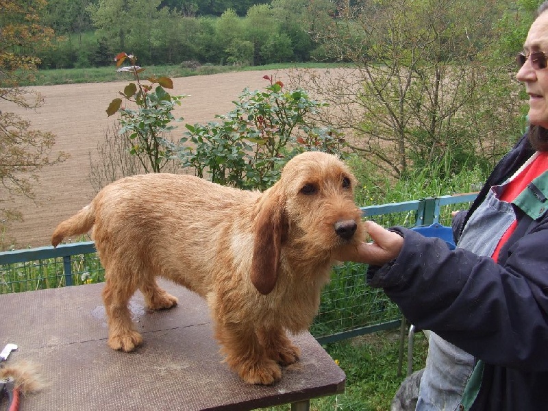 Publication : Du vallon de la peupliere 