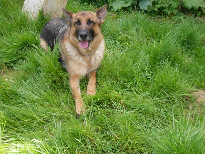 Emy du val de guémy