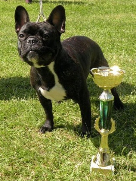 Publication : De L'aude De Bakkara Auteur : Aude BERTHOLET