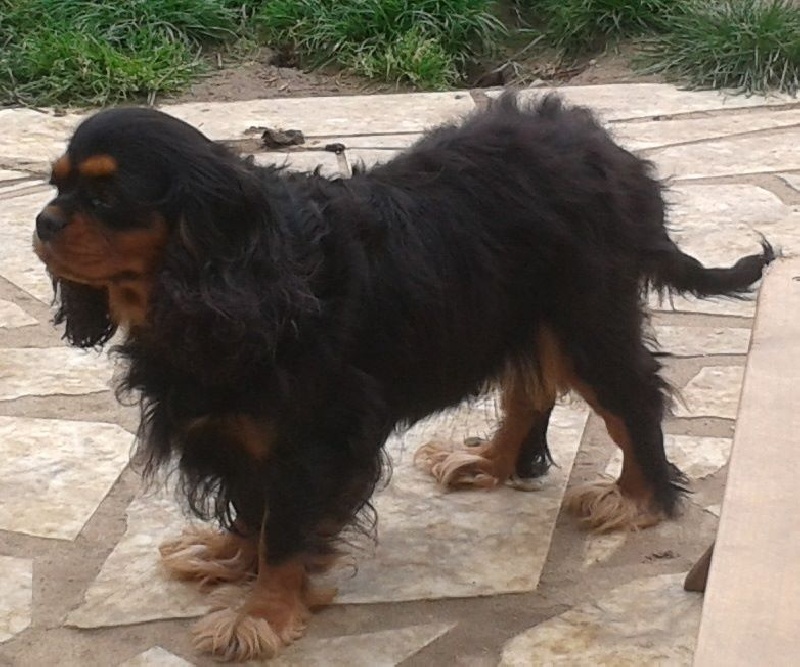 Publication : Du Pouvoir des Trois Auteur : VIRGINIE