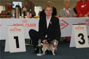 CH. Cheyenne del pequenos mexicanos