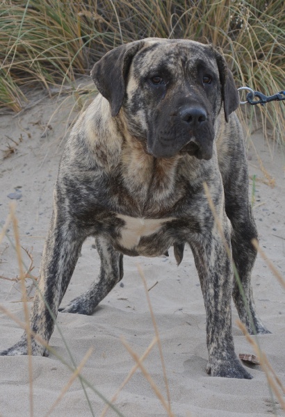 CH. Hevanescence De la crique du Flojule