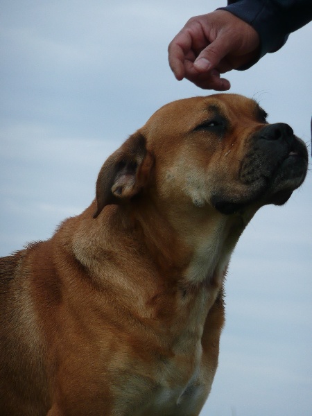 E'comeraz de Can Bourbon