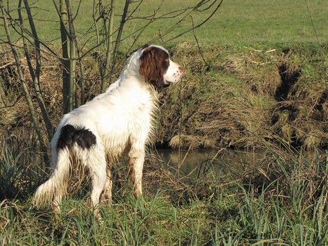 Publication : du domaine de Carrouge 