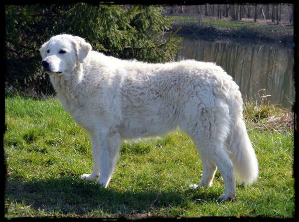 Publication : Észbontó 