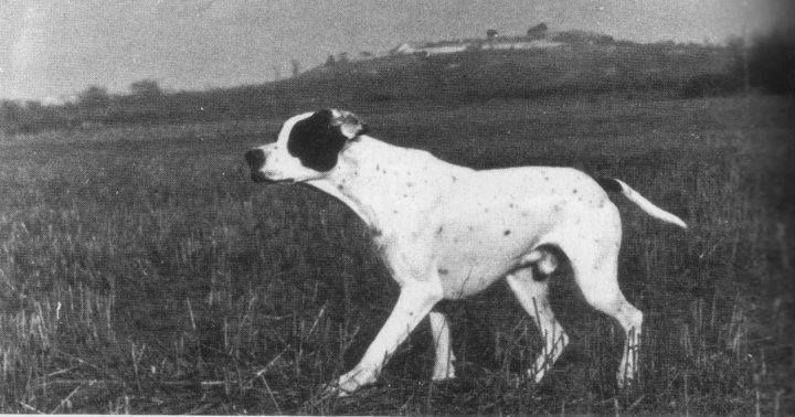 CH. Gip 14 (Sans Affixe)