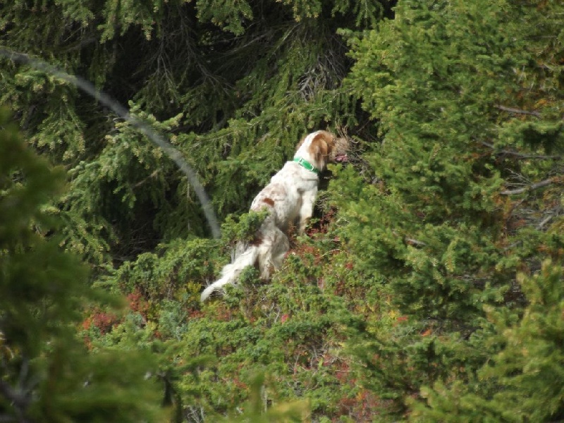 Publication : de Pierreluziere Auteur : Seb Guillemot