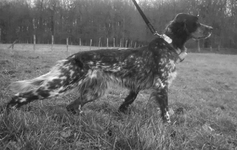 Publication : Mostitxualde