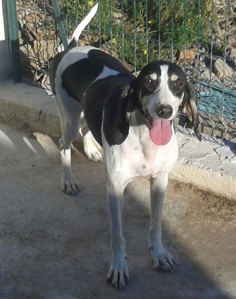 Publication : De La Roque Negre Auteur : fred jalbeaud