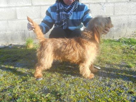 Cristale du Domaine D'Asgard