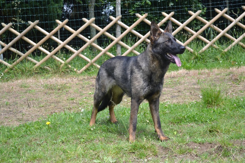 Publication : Des Gardiens Enchainés