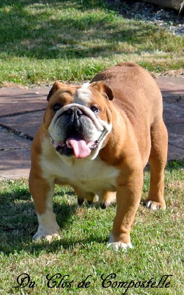 Fiona ermes du Jardin des Fleurs de Lys