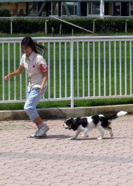 Publication : del varco 