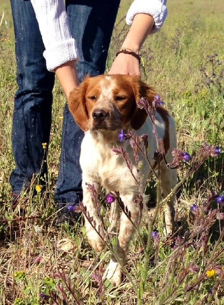 Publication : De Sabiyur Auteur : LUIS NAVA