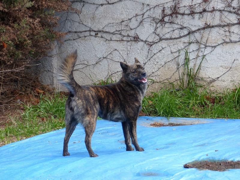 Publication : Huan Seha Sy-Phaa