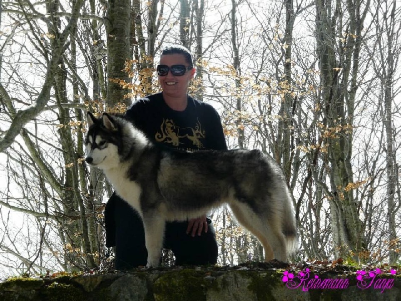 Publication : Corsicahusky