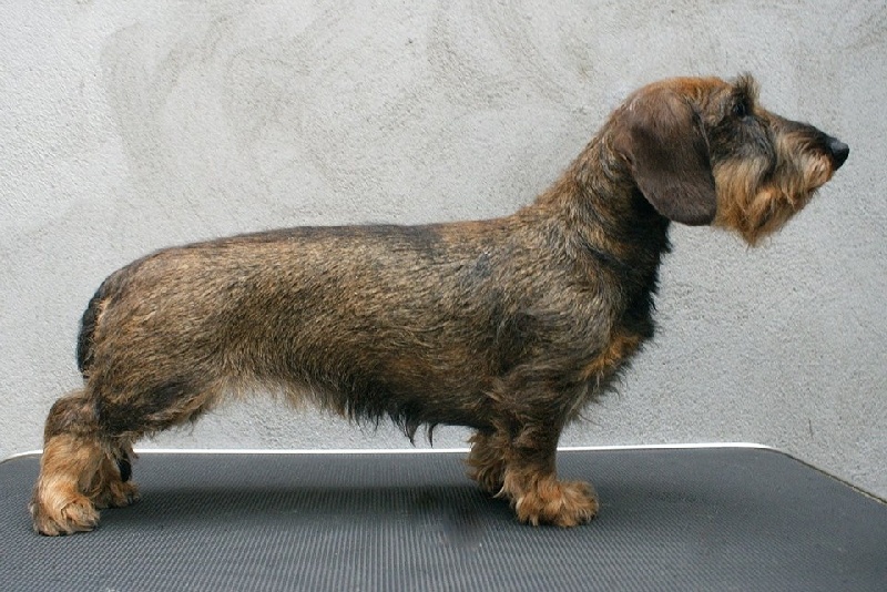 Publication : du Clos Madoux