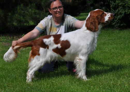 Publication : du chateau du repaire 