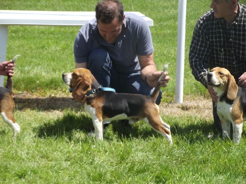 Publication : Des Echos Des Varrennes 