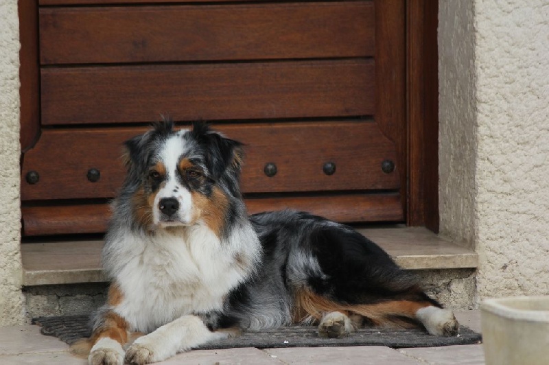 Publication : Des plaines du Montois Auteur : Angélica RAGEADE