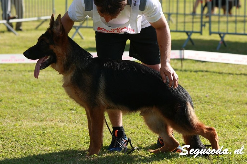 Publication : Du Montgison Auteur : Guss