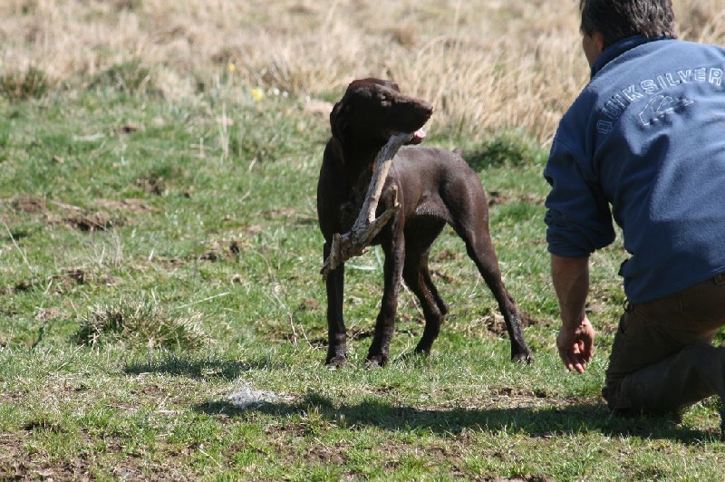 Publication : des sorcieres du sancy Auteur : gay