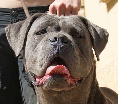 Fouganza (Sans Affixe)