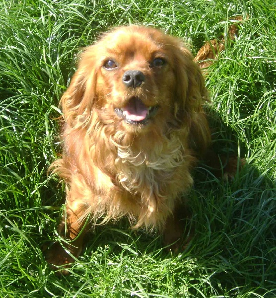 Publication : de la maison du ryez 