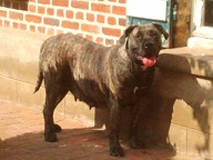 Fidji des Terres d'Europe