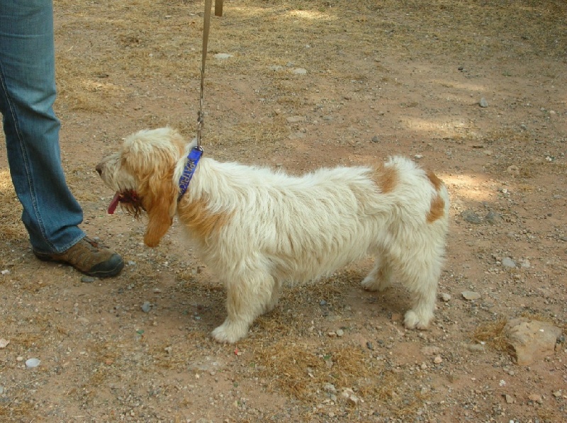 Publication : Des Indomptables Cathares Auteur : L Drouhin