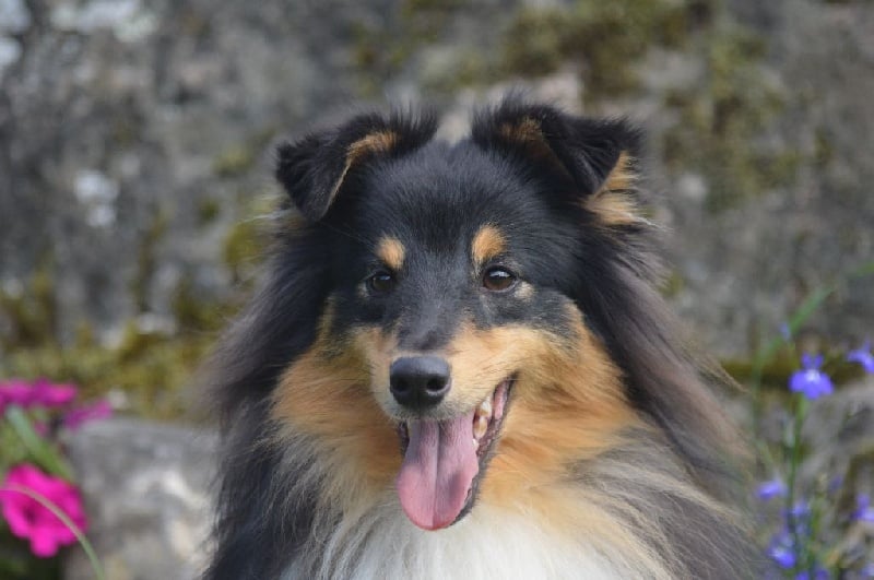 Publication : Of Queen Mum Auteur : Sandine Bohn