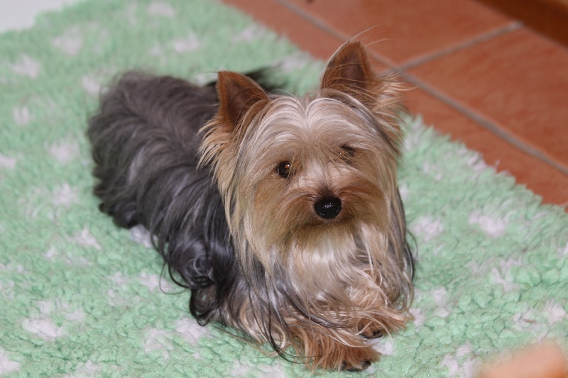 Publication : de la Felhotte 