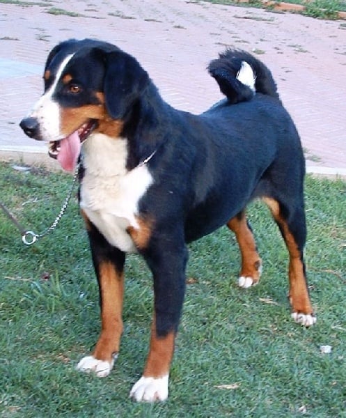 CH. ca' del corsi Nara nouvelle