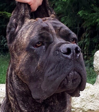 Publication : des Dunes Des Sages