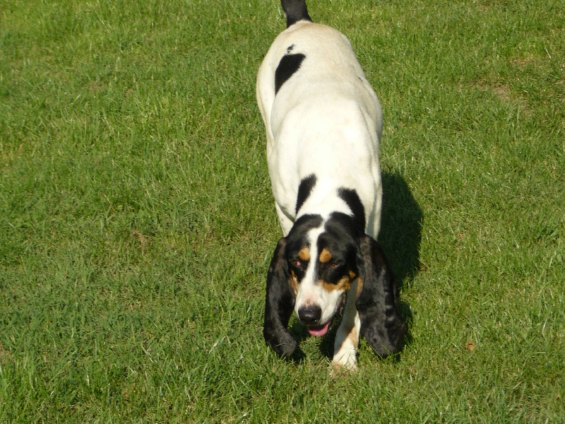 Publication : Des hauts d'en maze