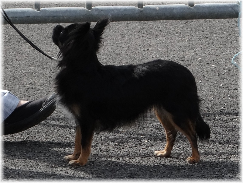 Publication : des deux étoiles