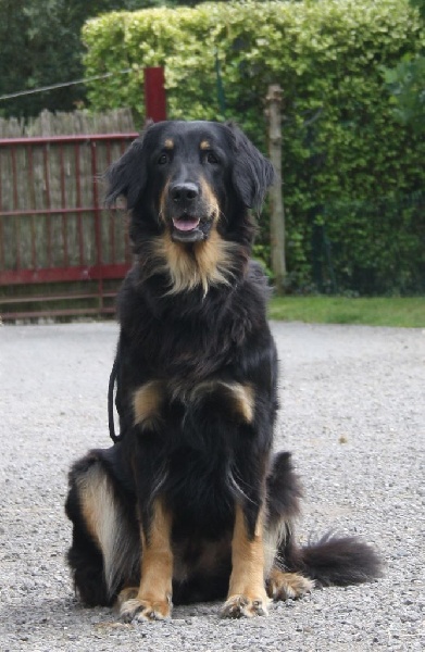 Publication : du domaine des hauts de l'Aulne Auteur : Valérie Drouet