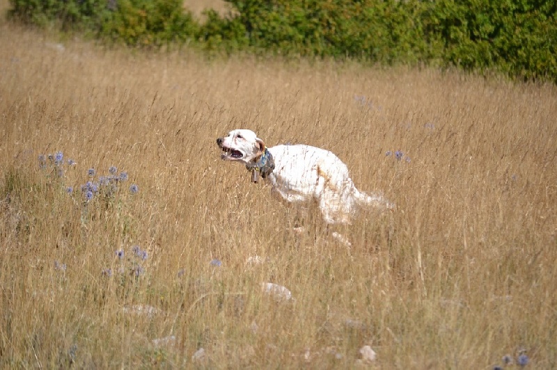Fredy du Mas d'Eyraud