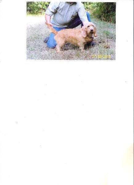 Dejaneer du Domaine D'Asgard