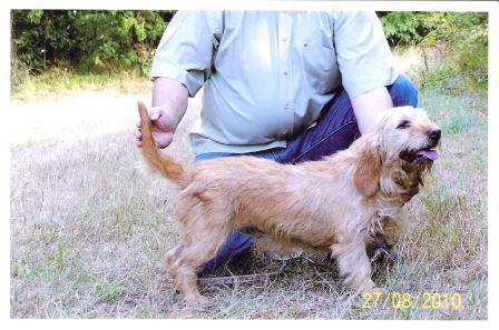 Action1 du Domaine D'Asgard