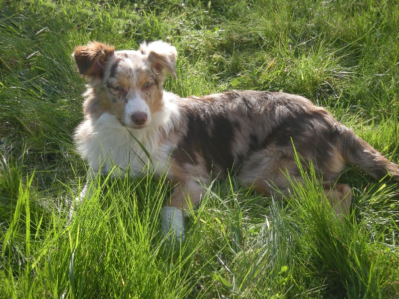 Publication : de L'Igloo des Sables Auteur : Vaslin AM